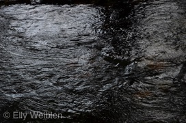 Elly Weiblen Wasser Dietenbach 2022-2.jpg